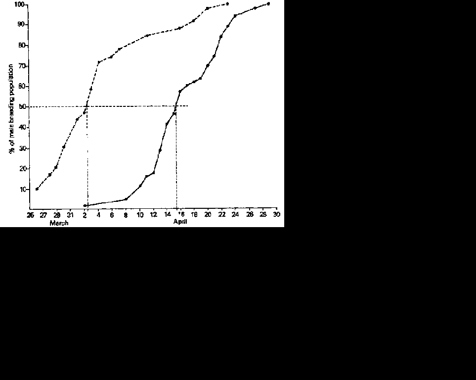 arrival dates of Willow warblers